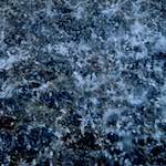 Second image from the photoset 'parc (iii)'.