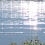 Image: Second image from the photoset 'eindhoven (ix)'.