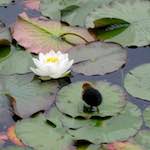 Image: Third image from the photoset 'eindhoven (ix)'.