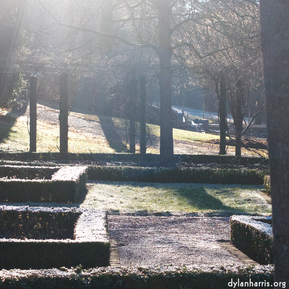 Image: Image 'esch–sur–alzette (ix) 2', at Escher Déierepark, head and torso of a doe.