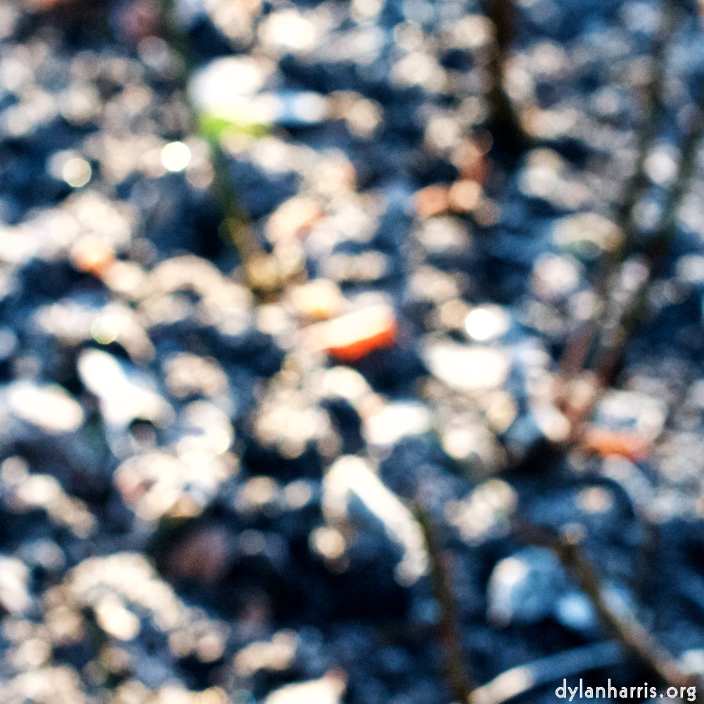 Image: Image 'esch–sur–alzette (ix) 4', at Escher Déierepark, a doe realises I’ve no treats.