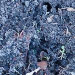 Third image of Escher Déierepark, from the photoset 'esch–sur–alzette (ix)'.