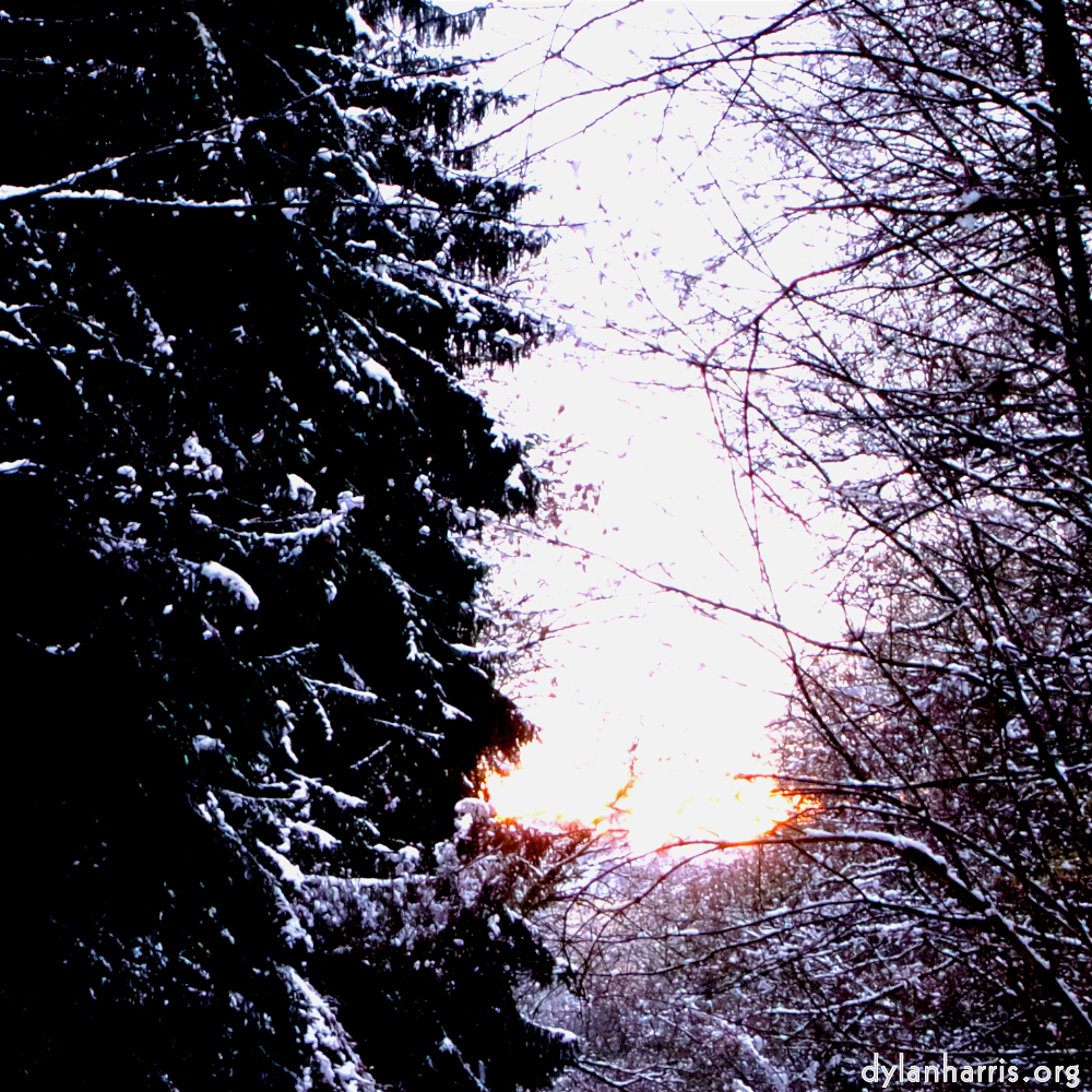 Image: Image 'way to work (v) 2'.