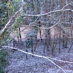 Image: First image from the photoset 'way to work (v)'.