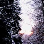 Image: Second image from the photoset 'way to work (v)'.