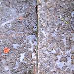 Image: Fourth image from the photoset 'way to work (v)'.