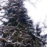 Image: Fifth image from the photoset 'way to work (v)'.