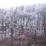 Image: Sixth image from the photoset 'way to work (v)'.