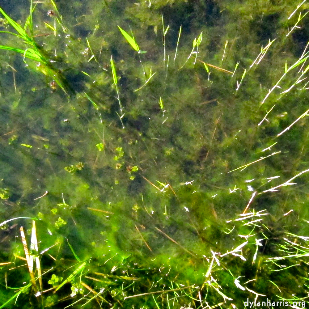 Image: Image 'eindhoven (v) 1'.