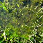 Image: First image from the photoset 'eindhoven (v)'.