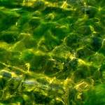 Image: Third image from the photoset 'eindhoven (v)'.