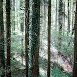 image: Image from the photoset ‘
terres rouges (i)
’.