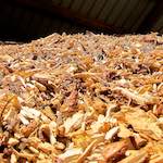 image: Image from the photoset ‘
terres rouges (i)
’.