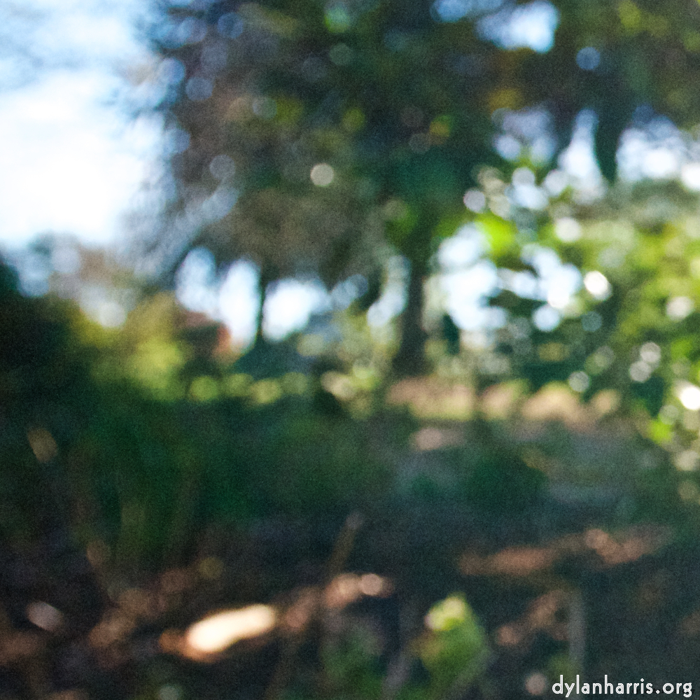 Image: Image 'escher blummen (liii) 3'.