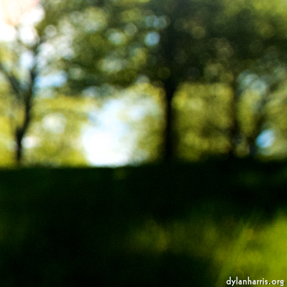 image: This is ‘
escher blummen (lviii) 1
’.