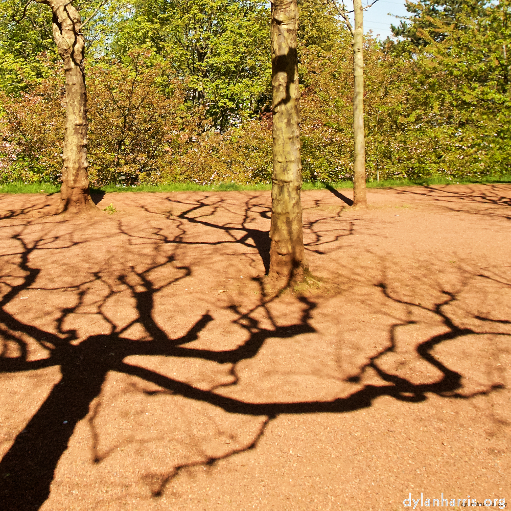 Image: Image 'escher blummen (lviii) 2'.