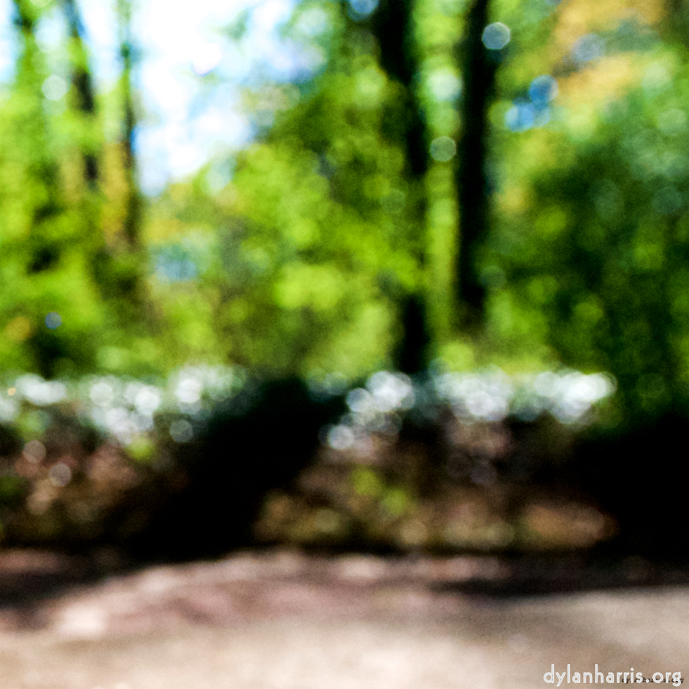 image: This is ‘
escher blummen (lviii) 3
’.