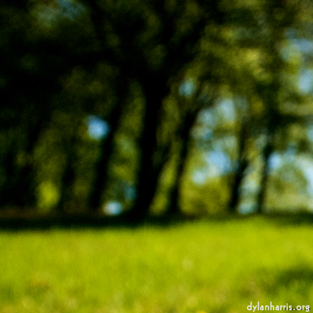 image: This is ‘
escher blummen (lviii) 5
’.