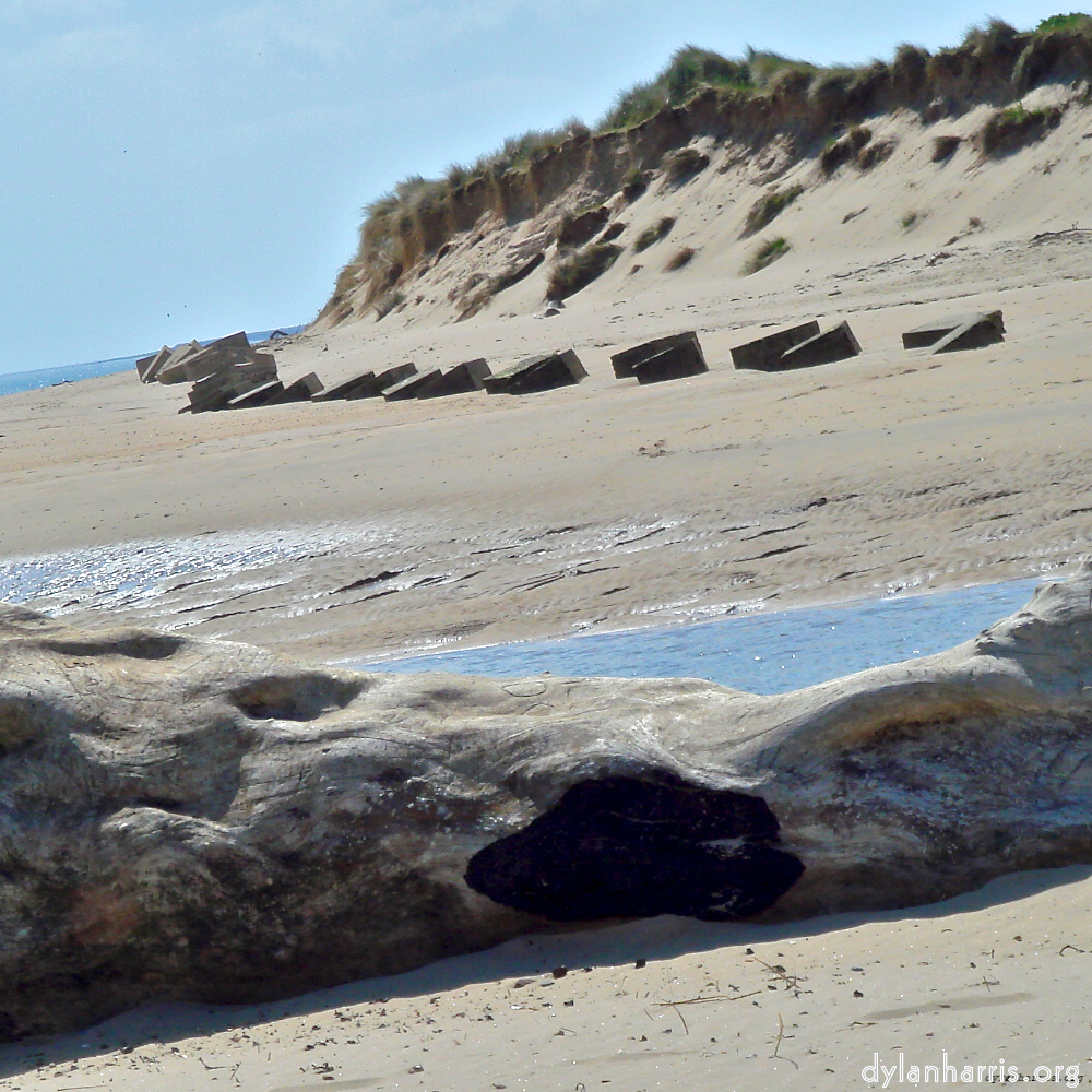 Image: Image 'alnmouth (ii) 2'.