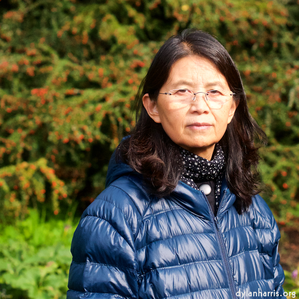 Image: Image 'L (vii) 11'.