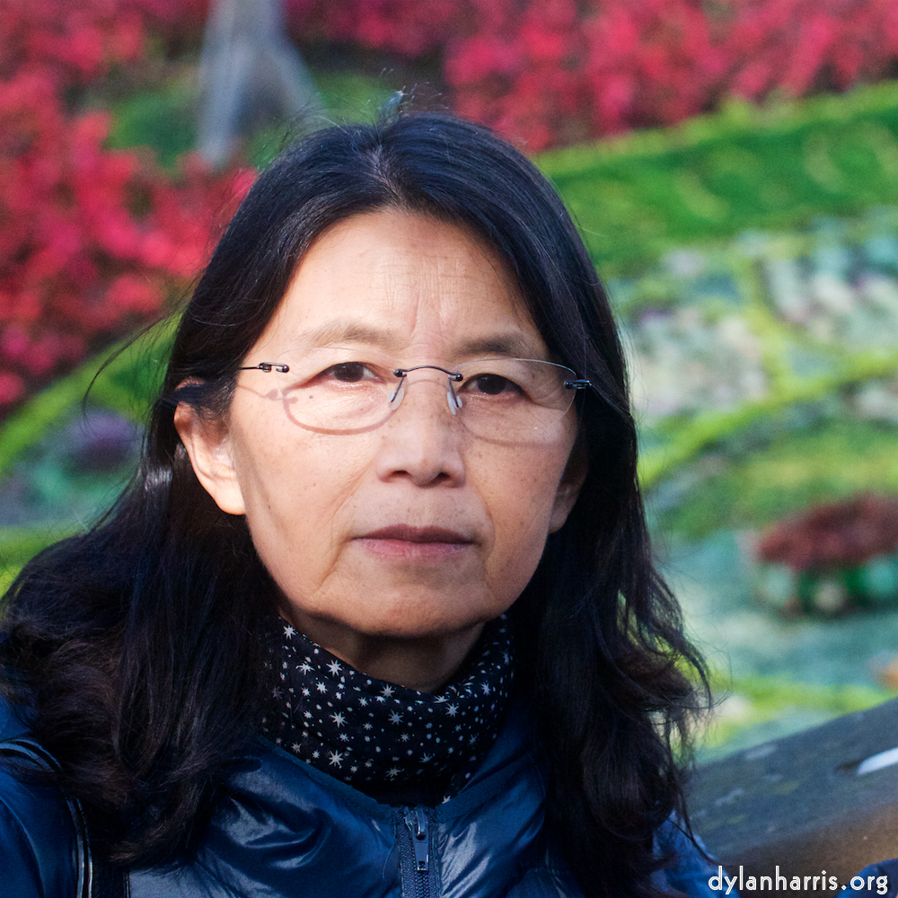 Image: Image 'L (vii) 3'.