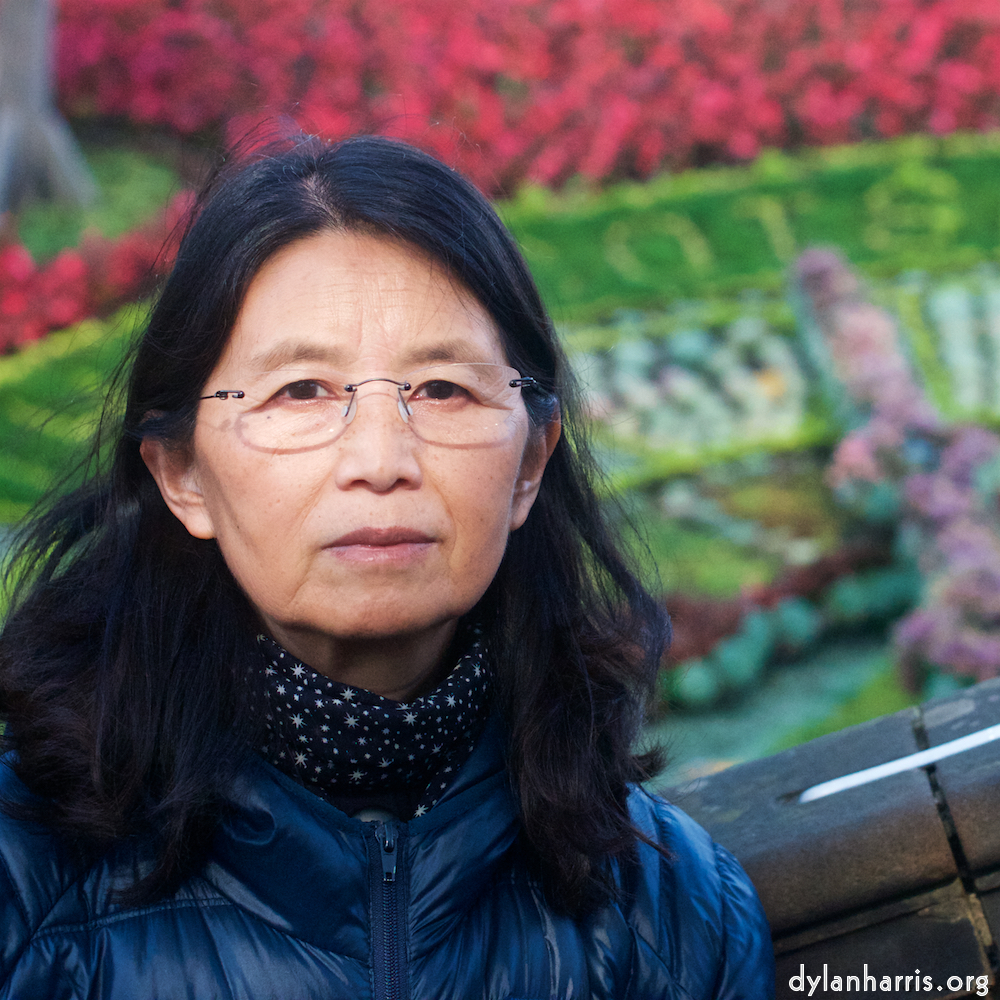 Image: Image 'L (vii) 6'.