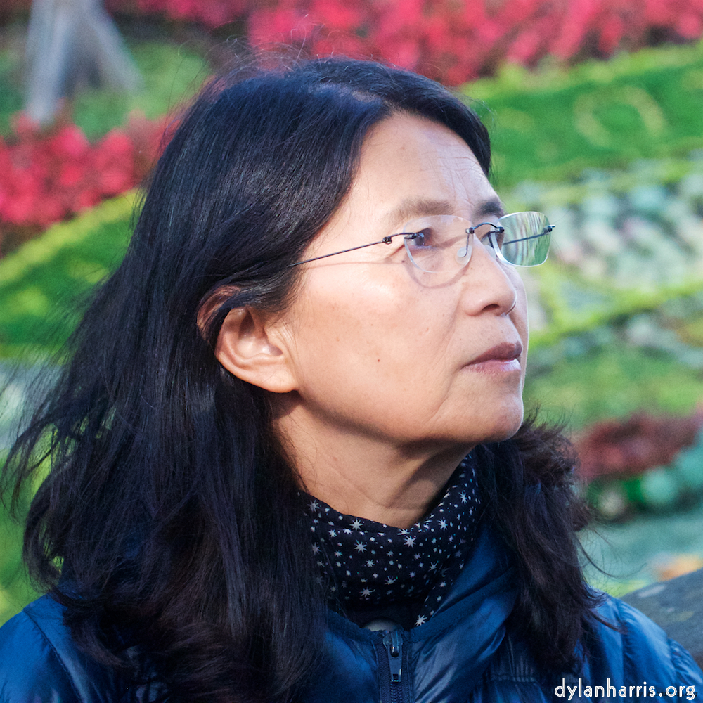 Image: Image 'L (vii) 7'.