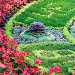 Image: First image from the photoset 'flower (vi)'.