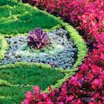 Image: Fifth image from the photoset 'flower (vi)'.