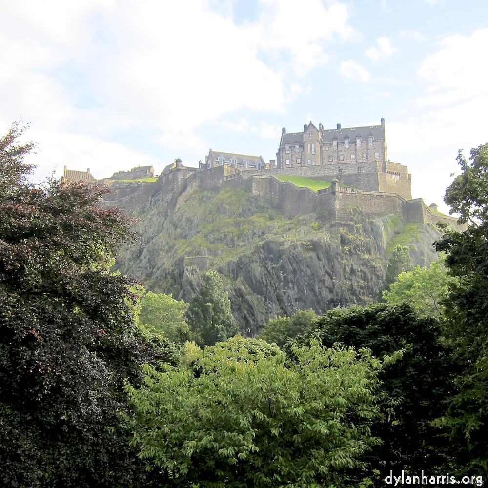 image: This is ‘
flower (vii) 1
’.