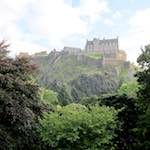 image: Image from the photoset ‘
flower (vii)
’.