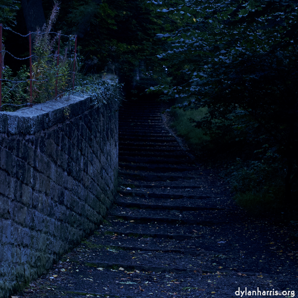 Image: Image 'L (ix) 7'.