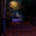 Image: Fourth image from the photoset 'L (ix)'.