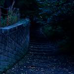 Image: Seventh image from the photoset 'L (ix)'.