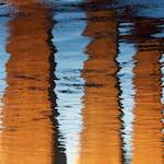 image: Image from the photoset ‘
edinburgh (xxi)
’.