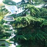 image: Image from the photoset ‘
yorkshire (xii)
’.