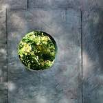 Image: First image from the photoset 'yorkshire (xiii)'.