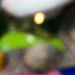 image: Image from the photoset ‘
yorkshire (xiv)
’.