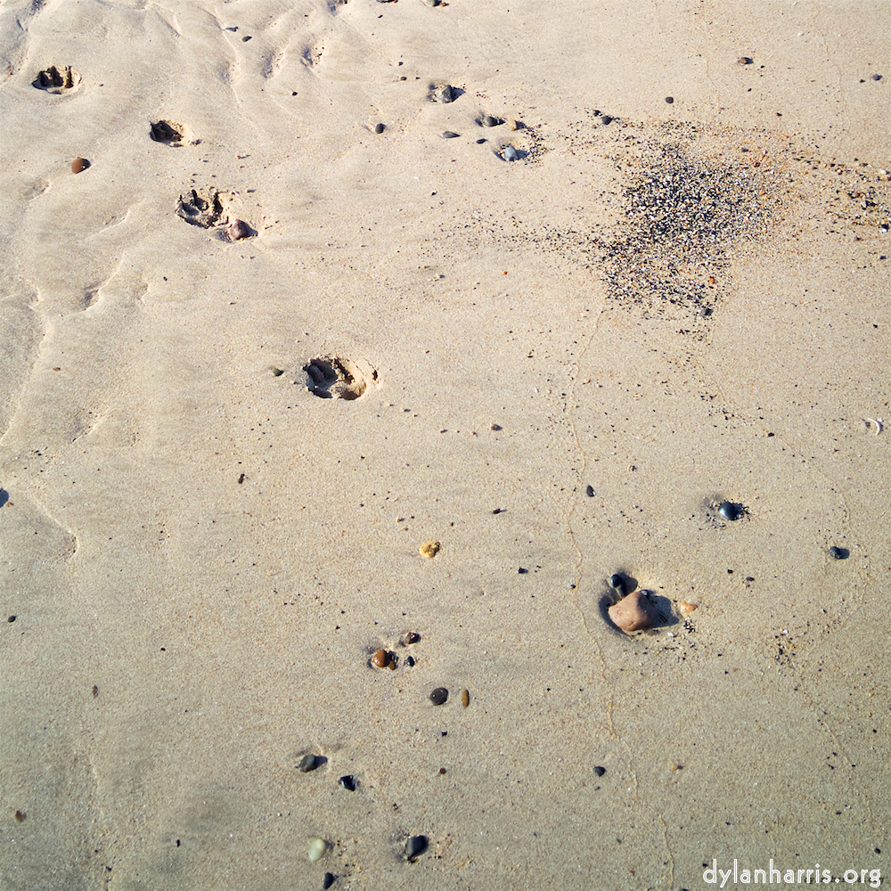 image: This is ‘
alnmouth (iii) 3
’.