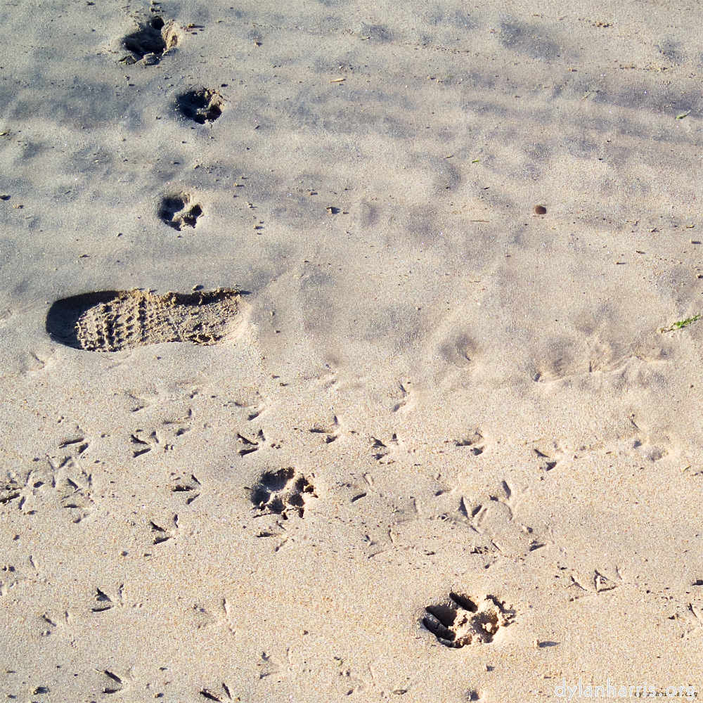 image: This is ‘
alnmouth (iii) 4
’.