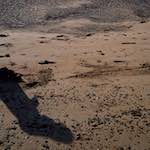 image: Image from the photoset ‘
alnmouth (iii)
’.