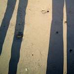 image: Image from the photoset ‘
alnmouth (iii)
’.