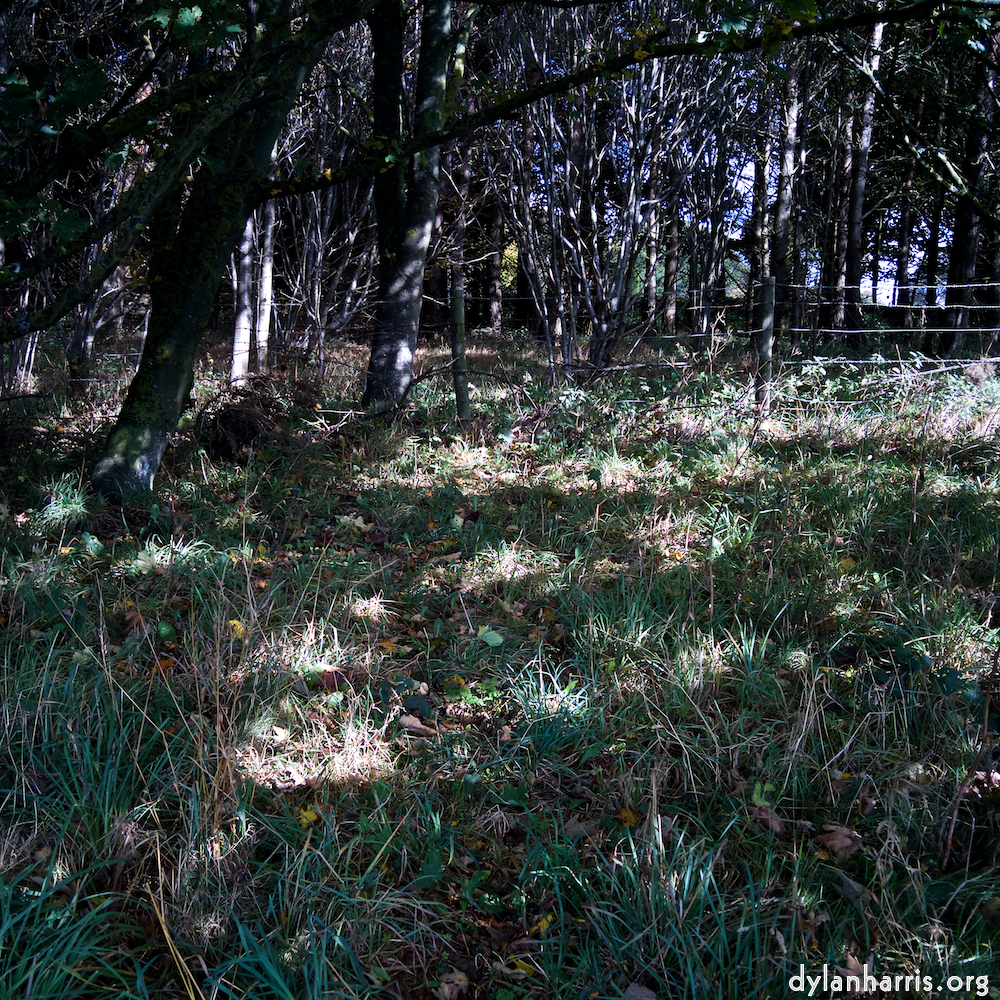 Image: Image 'north (iv) 1'.