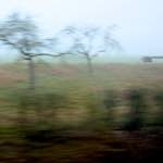 image: Image from the photoset ‘
way to work (v)
’.