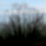 image: Image from the photoset ‘
way to work (v)
’.