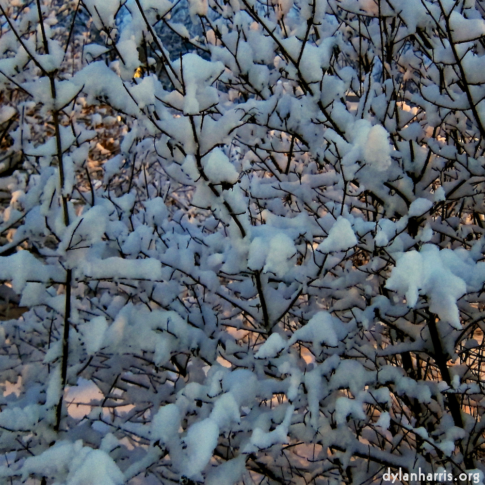 image: Voici ‘way to work (viii) 8’.