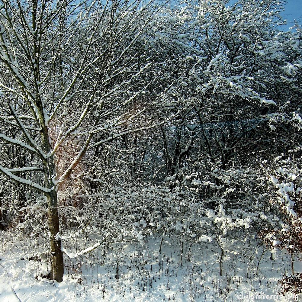 image: Voici ‘way to work (viii) 9’.