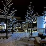 image: Image du photoset ‘way to work (viii)’.