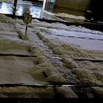 image: Image du photoset ‘way to work (viii)’.