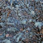 image: Image du photoset ‘way to work (viii)’.